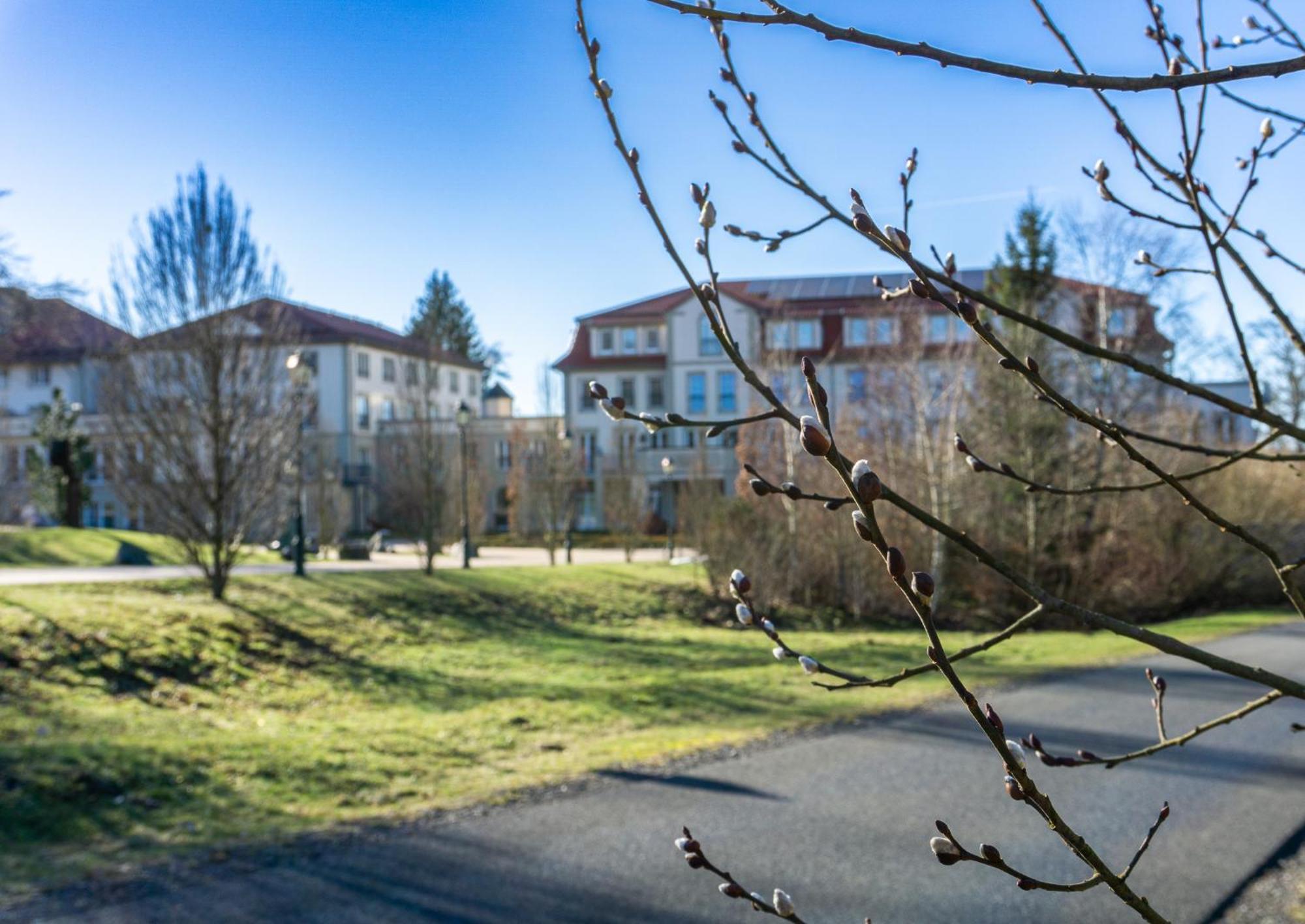 Naturresort & Spa Schindelbruch Stolberg i. Harz エクステリア 写真
